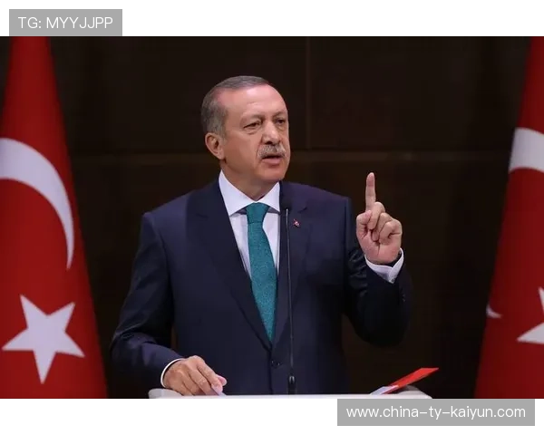 土耳其火力点全面开花：中东新局的火药味与机遇