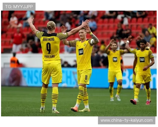 勒沃库森追哈兰德式强壮前核：球场上的战士与未来的引领者